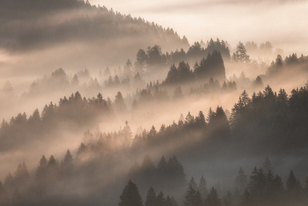 Nebel und Sonne | Vom Raten aus ist die Sicht Richtung Kanton Schwyz morgens im Herbst einzigartig. - Realisiert mit Pictrs.com