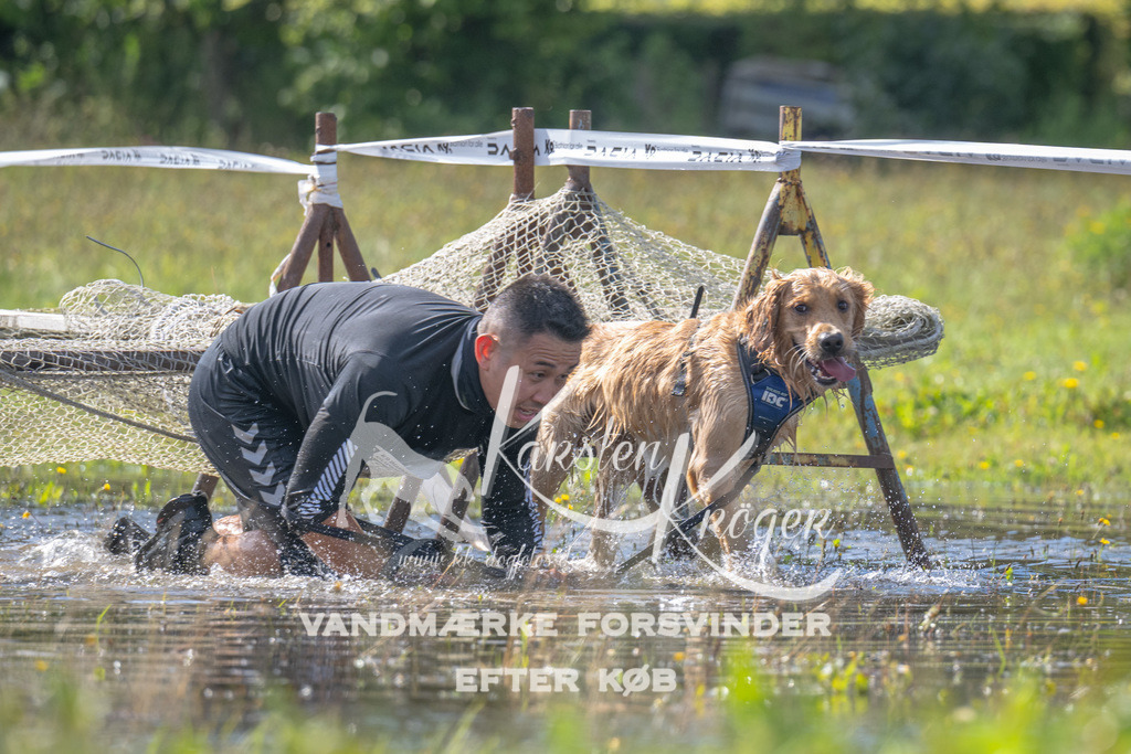 1204_ZZ91108 | kk-dogfotos