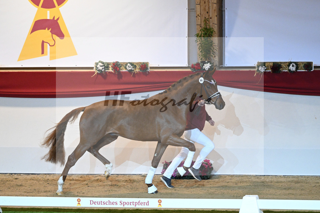 Kat-Nr. 44 Donier_Hertweck_1230034 | hf-fotografie - Realisiert mit Pictrs.com