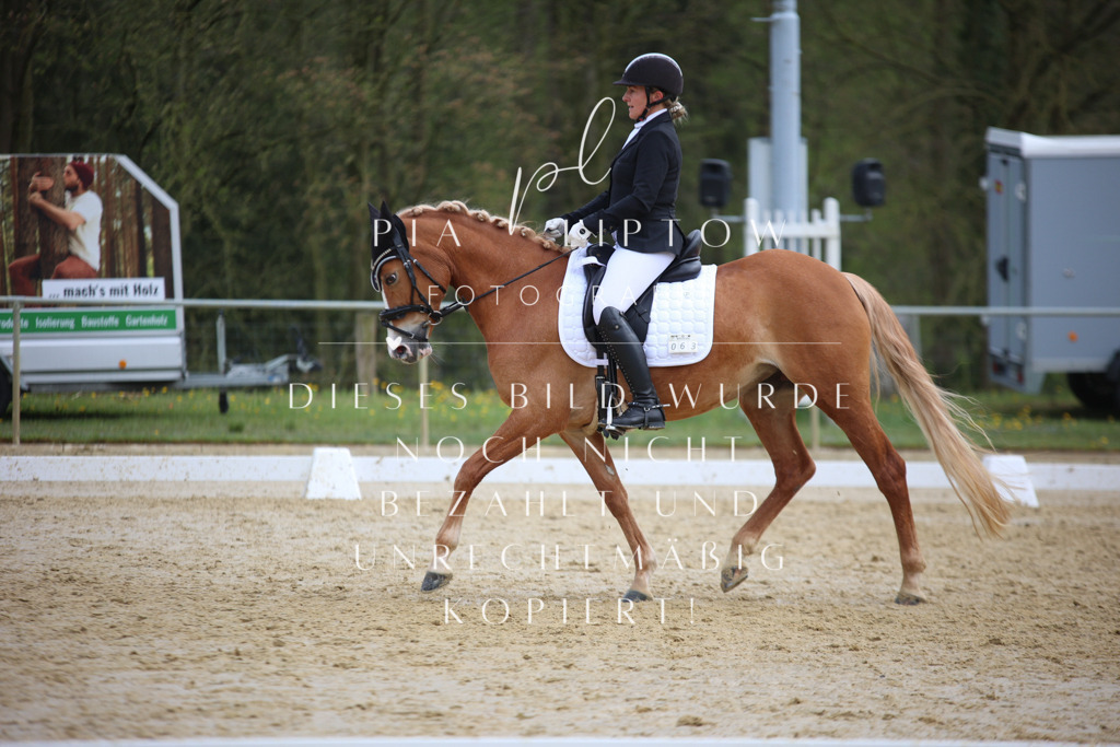 IMGT5618 | pl-fotografie