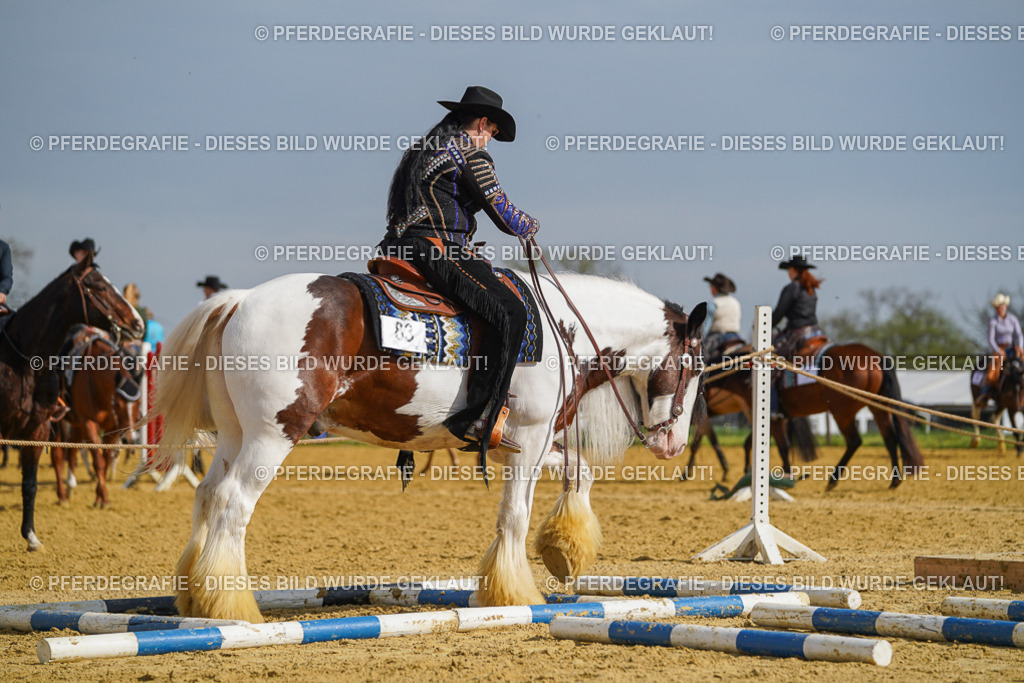 DSC01612 | Pferdegrafie