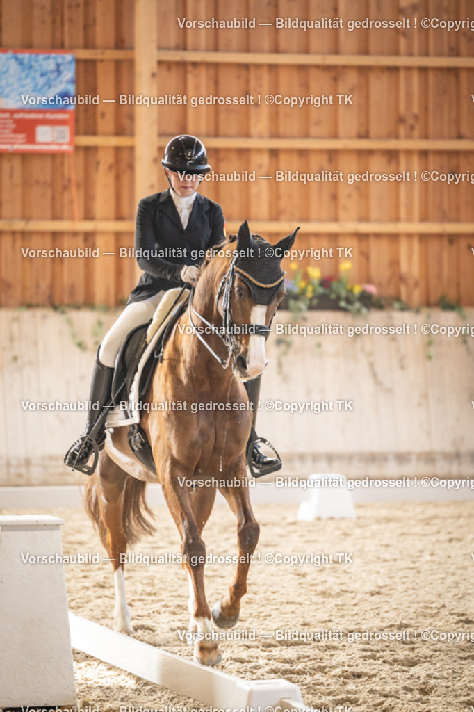 _D5A9470 | Emotionale Pferde- & People-Fotografie rund um Heidelberg, Leimen & Umgebung. Natürliche Fotos von Pferd, Mensch & Familie. Jetzt Termin sichern!