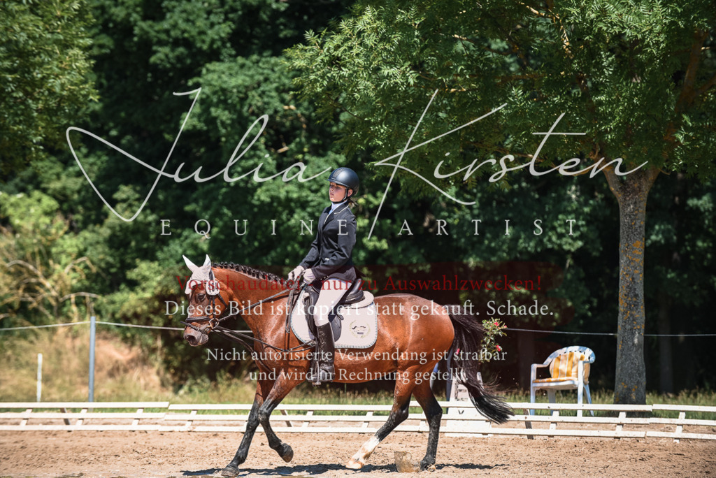 DSC_3072 | Pferde- und Turnierfotografie in Westsachsen. Pferdeportraits, Auftragszeichnungen und intuitive Kunst.