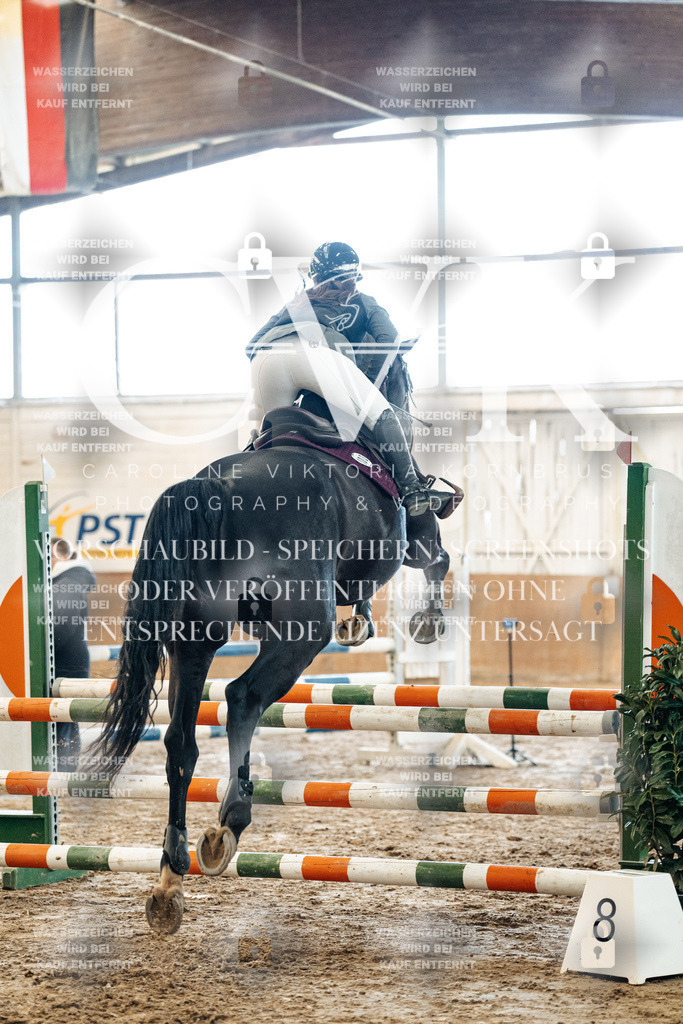 CK904711 | Turnierfotografie Pferdefotografie Trier Rheinland-Pfalz Pferdesport Reitsport Tierfotografie Sportfotografie Pferdevideo Pferdevideografie Equestrianvideography equestrianphotography  - Realisiert mit Pictrs.com