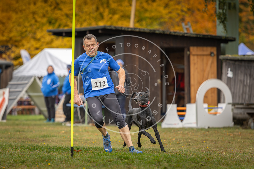 Pfotenfotografie_DV3A1917 | Hundefotografie, Tierfotograf, Pfotenfotografie, Fotoshooting Hund, Hunde Portrait, Hundesport, Hundeportraits, Heideshooting, Hunde, Sportfotograf, Hundefotograf, Turnierhundsport, THS,  - Realisiert mit Pictrs.com
