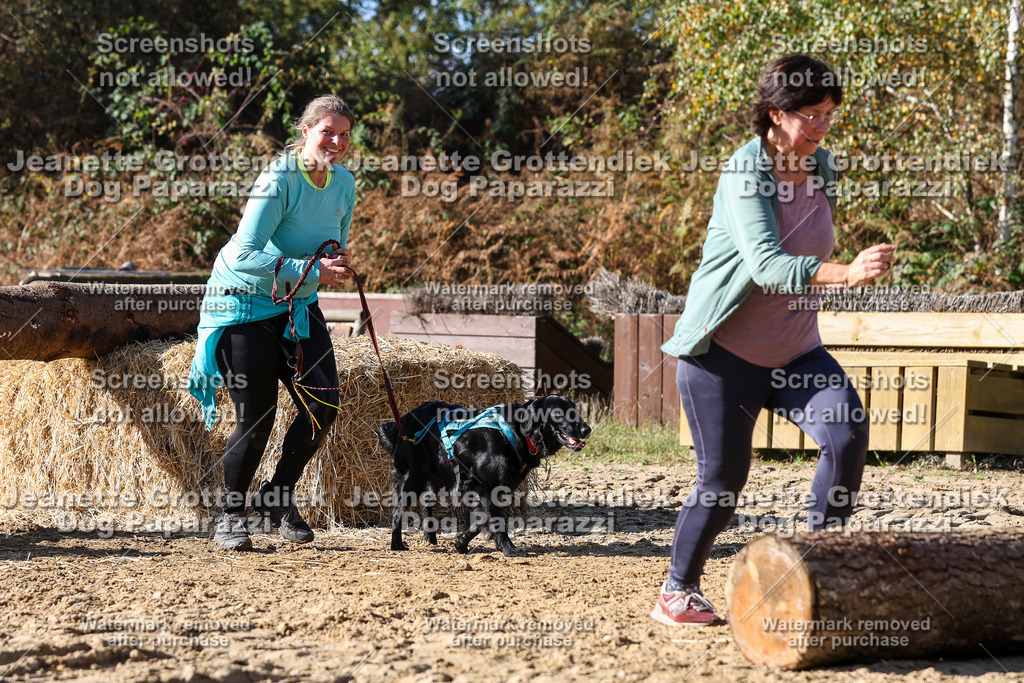 Dog Paparazzi - Strongdog 10-25-4770 | Dog Paparazzi Jeanette Grottendiek Fotografie & Videografie - Realisiert mit Pictrs.com