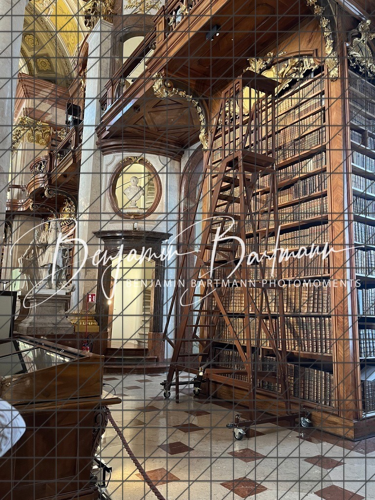 IMG_4466 | Benjamin Bartmann Photomoments