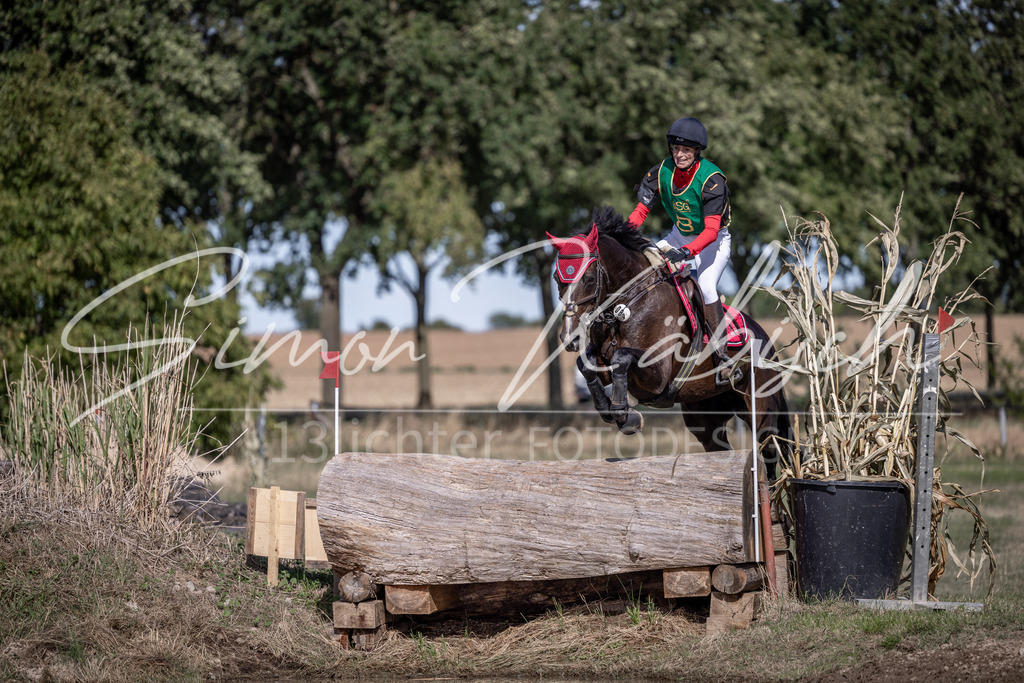 20260906-_3LI6043 | Tierfotografie Pferde, Hunde, Katzen, Haustiere.
Turnierfotografie Reitturniere, Reiten, Springreiten, Dressur in Hanau, dem Main-Kinzig-Kreis und dem Rhein-Main- Gebiet um Frankfurt