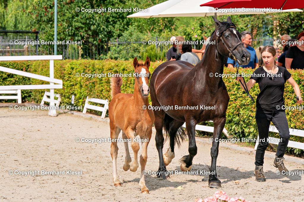 2A909754 | foto-team-bernhard - Realisiert mit Pictrs.com