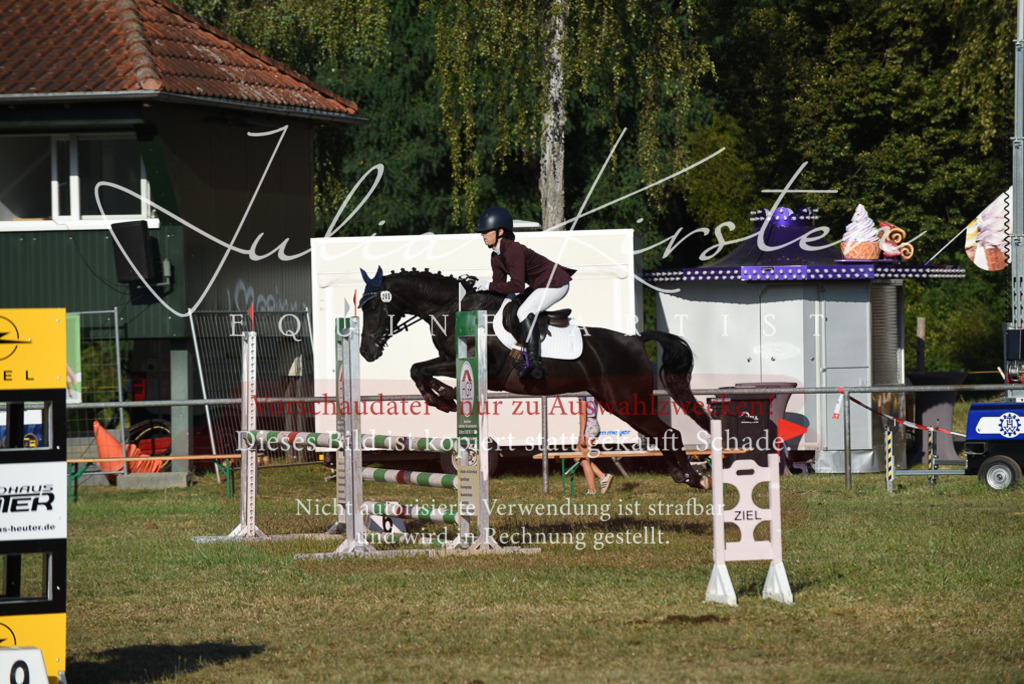 DSC_5077 | Pferde- und Turnierfotografie in Westsachsen. Pferdeportraits, Auftragszeichnungen und intuitive Kunst.