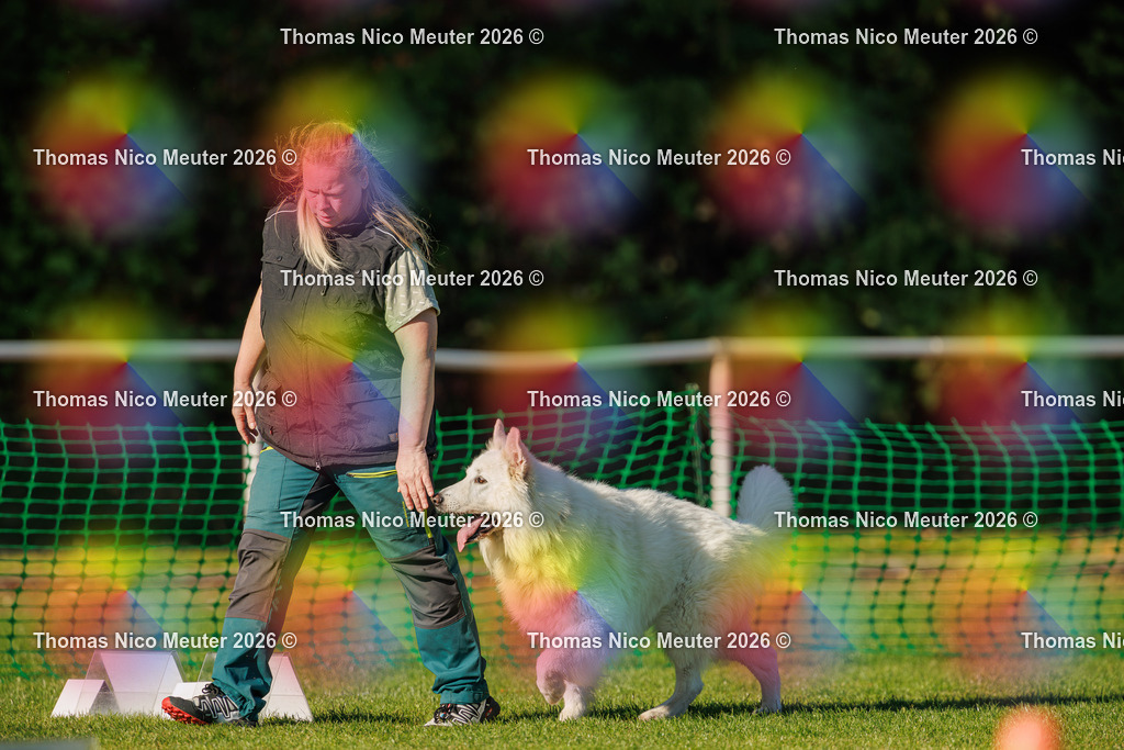 Thomas_Nico_Meuter(C)_04. Oktober 2026_223A4118 | Bild von Thomas Nico Meuter - Realisiert mit Pictrs.com