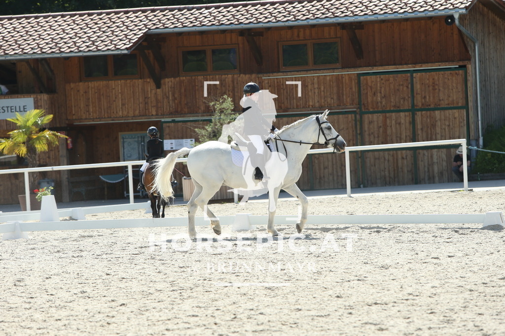 DL2Q0776 | Willkommen bei Brunnmayr - Design & Fotografie – Ihrem Spezialisten für Reitturniere und Pferdeveranstaltungen in Oberösterreich, Salzburg und Bayern! Seit über 17 Jahren sind wir leidenschaftlich dabei.