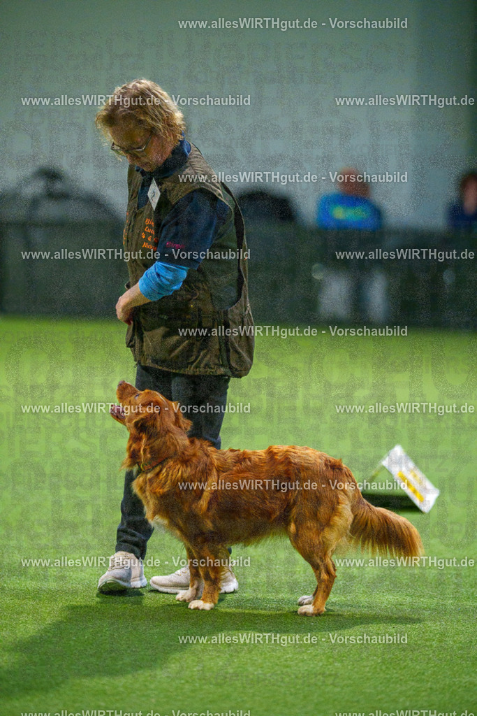 7R509681 | Professionelle Tierfotografie in Mönchengladbach von Daniel Wirth (allesWIRTHgut). Liebevolle & natürliche Bilder von Hunden & Katzen für unvergessliche Erinnerungen.
