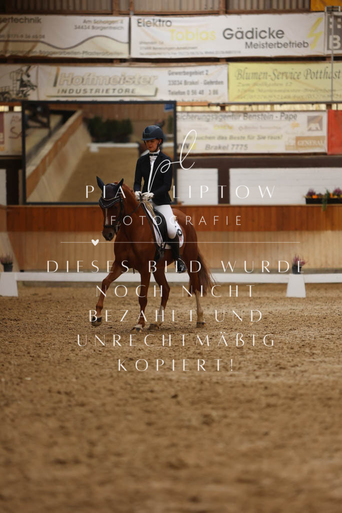 IMGM5426 | pl-fotografie