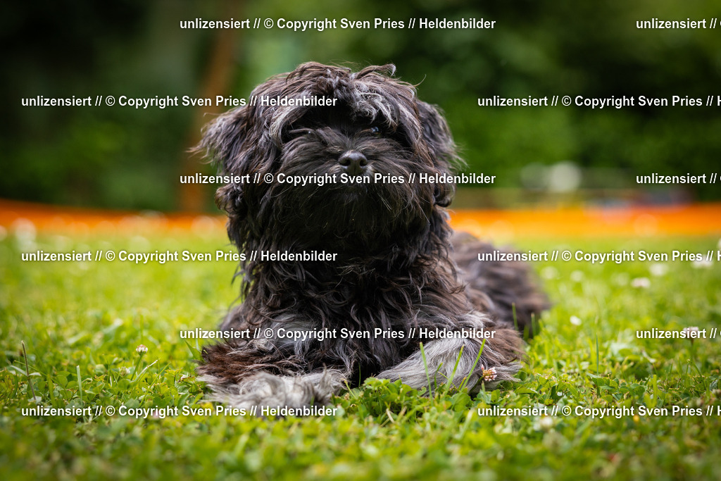 Sven Pries | 2025-05-29 - Pudelrennen KA-Durlach - Realisiert mit Pictrs.com