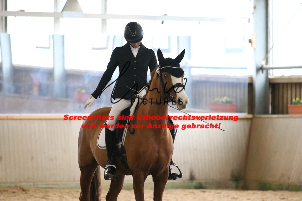 IMG_8305 | lmwpictures - Realisiert mit Pictrs.com