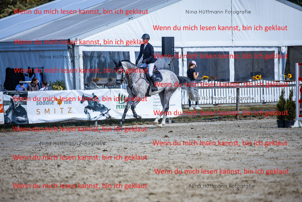 BK1A5558 | Turnierbilder Turnierfotos Nina Hüffmann Turnierfotografie Pferdefotografie Tierzeichnung Haustierzeichnung Pferdezeichnung Hundezeichnung Videograf  - Realisiert mit Pictrs.com