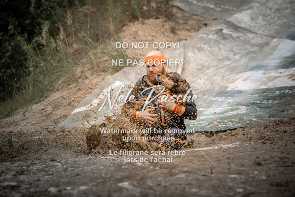 nelerasche_sa1230-1300_96 | nelerasche
