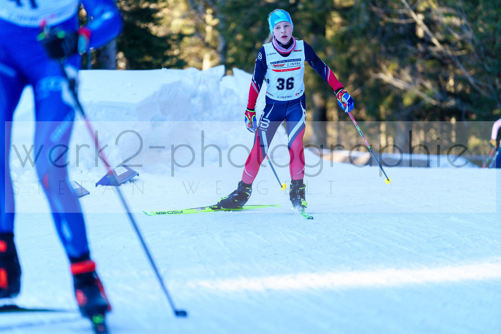 DSC Notschrei | 2. DSV E.INFRA Schülercup im Nordic-Center Notschrei am 17. bis 19. Januar 2025