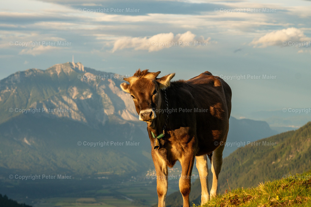 Divers_Karnische_Milchstrasse_2020-62 | piet_flosse