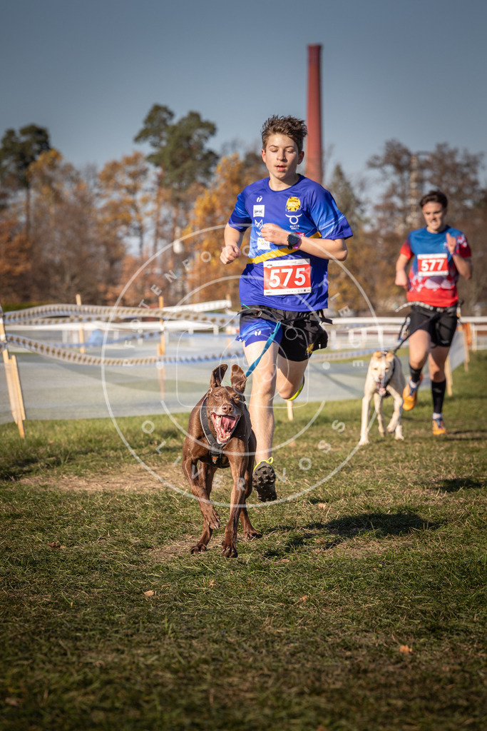 CaniXpix_0L8A8099 | Hundefotografie, Tierfotograf, Pfotenfotografie, Fotoshooting Hund, Hunde Portrait, Hundesport, Hundeportraits, Heideshooting, Hunde, Sportfotograf, Hundefotograf, Turnierhundsport, THS,  - Realisiert mit Pictrs.com