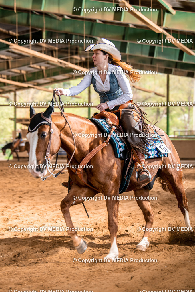 Balingen Tag 2-1351 | dv-media-shop - Realisiert mit Pictrs.com