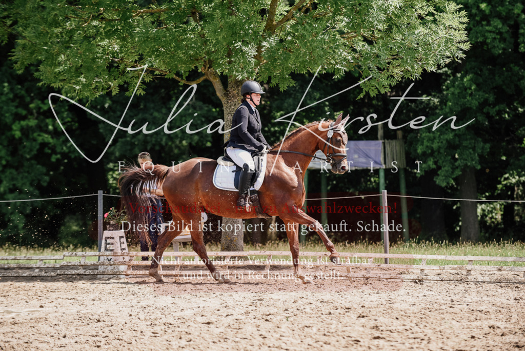 DSC_1335 | Pferde- und Turnierfotografie in Westsachsen. Pferdeportraits, Auftragszeichnungen und intuitive Kunst.