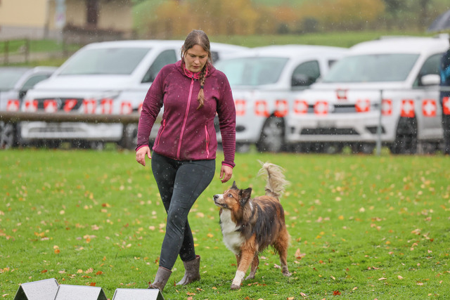 2025_Rally_Obedience_SM-177 | Ich fotografiere Hundeausstellungen, Sportanlässe, Zuchtstätten, Hundezucht, Hundeportrait, Lagotto - Realisiert mit Pictrs.com