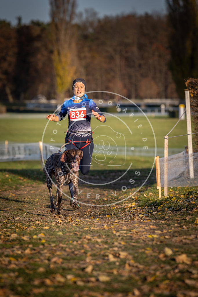 CaniXpix_DV3A3520 | Hundefotografie, Tierfotograf, Pfotenfotografie, Fotoshooting Hund, Hunde Portrait, Hundesport, Hundeportraits, Heideshooting, Hunde, Sportfotograf, Hundefotograf, Turnierhundsport, THS,  - Realisiert mit Pictrs.com