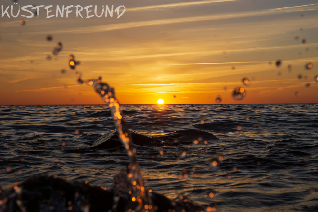 Sonnenuntergang am Meer X // Fotoserie Sunset & Splash | Entdecke deine Lieblingslandschaft von der Küste – auf Ostsee Leinwand, Nordsee Leinwand, Alu Dibond oder Acrylglas, passend für jeden Geschmack und Raum.