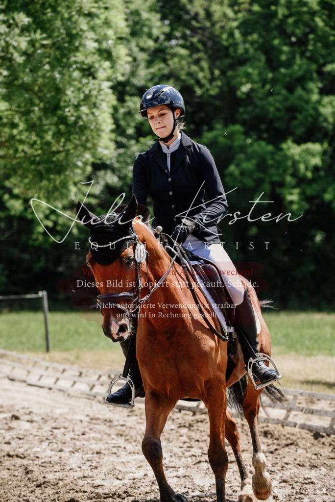 DSC_1730 | Pferde- und Turnierfotografie in Westsachsen. Pferdeportraits, Auftragszeichnungen und intuitive Kunst.