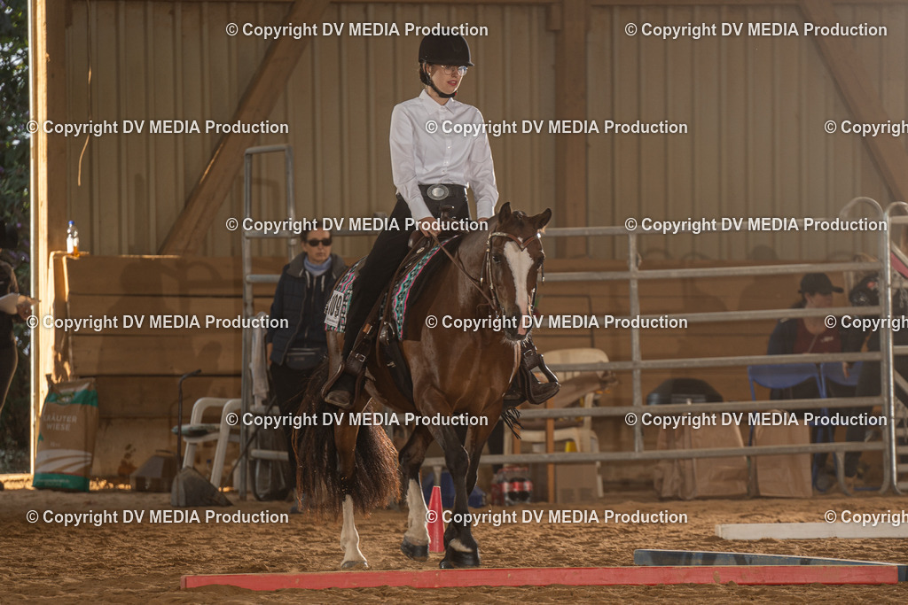 NID02603 | dv-media-shop - Realisiert mit Pictrs.com