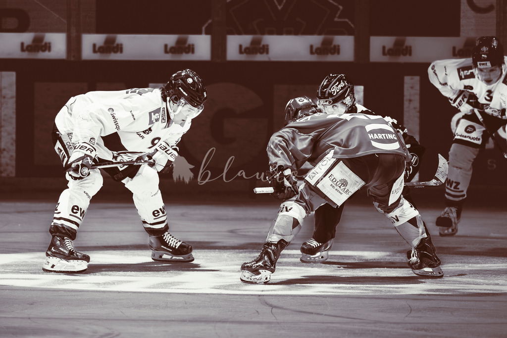 EHCB vs GCK 20260104-7298-2 | Sportbilder, Sportfotograf, Hochzeits- und Eventfotografin, Flugshows, Portraits und Tiershooting, Aviation, Downhill, Nationalleague, Swissleague, International