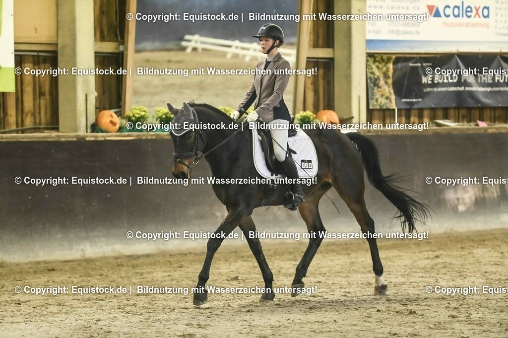 20231029_05_Dressur-A_0010 | Foto: Thomas Hartig