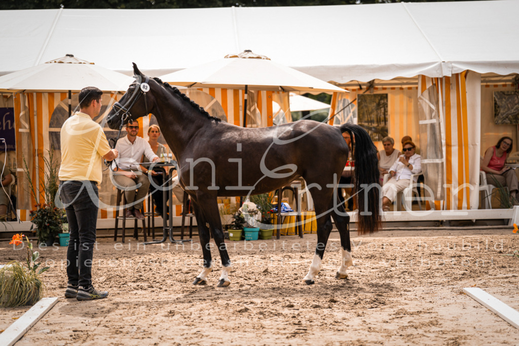 4.Fr00190 | Leoni Ertmer Photography - Realisiert mit Pictrs.com