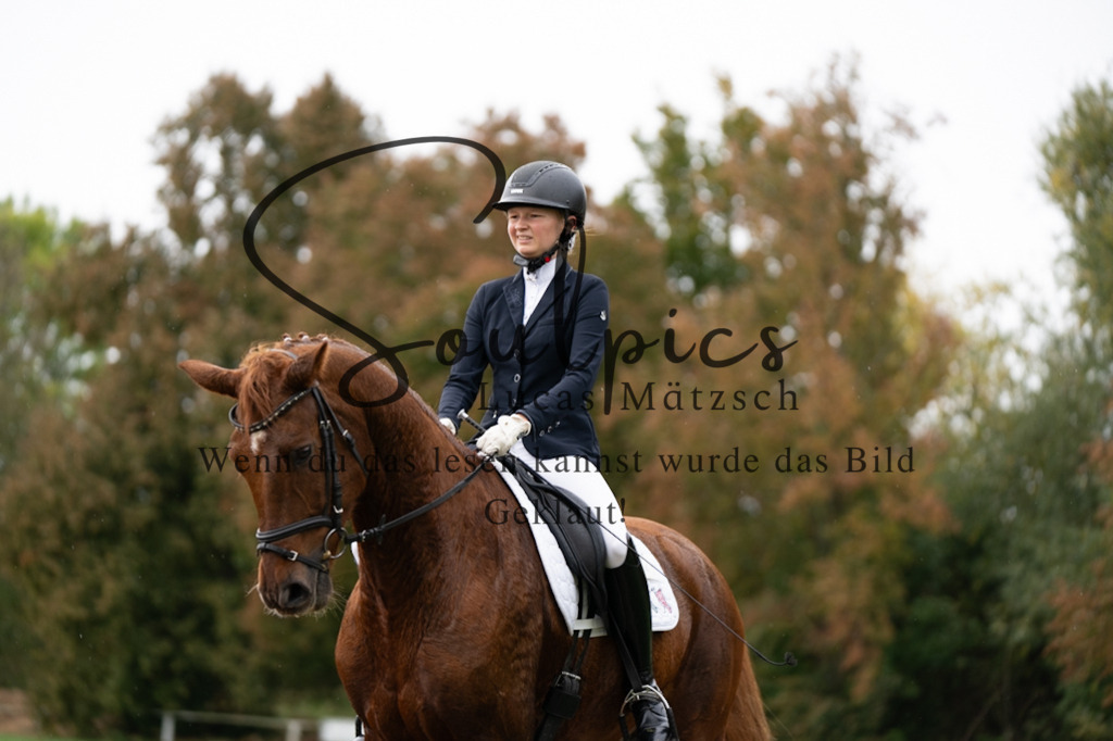 A7V05892 | Pferdefotograf