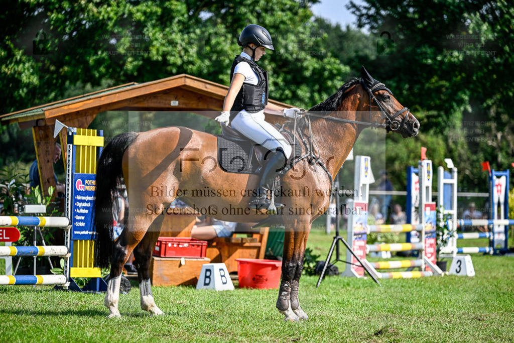 Reitturnier Hasbergen | Entdecke hochwertige Reitturnierfotos von Foto Oger. Professionell, emotional und authentisch – jetzt Lieblingsmomente im Shop bestellen. - Realisiert mit Pictrs.com