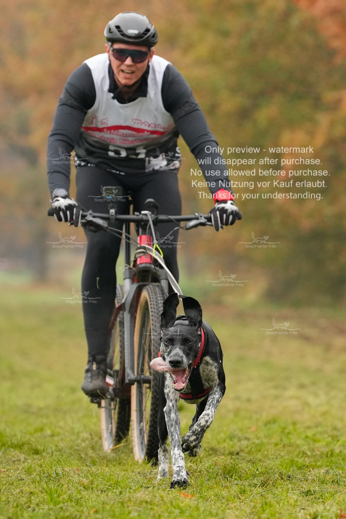 AusschnitteSa-88 | stephaniefillaphotographie - Realisiert mit Pictrs.com
