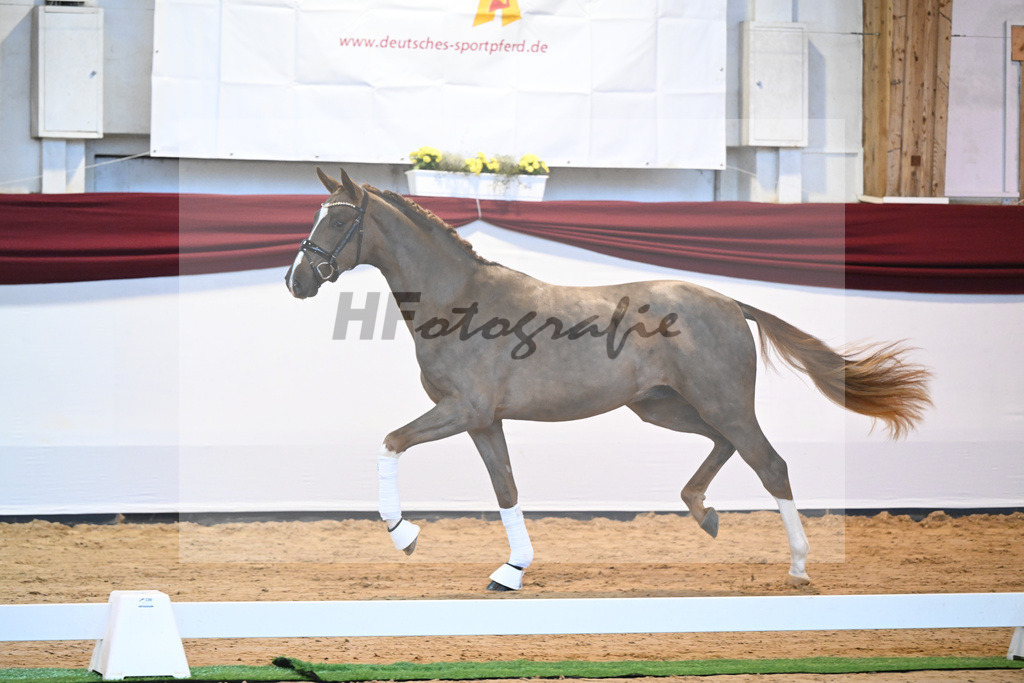 Kat-Nr. 4 v. Benicio_Galneder_66220024 | hf-fotografie - Realisiert mit Pictrs.com