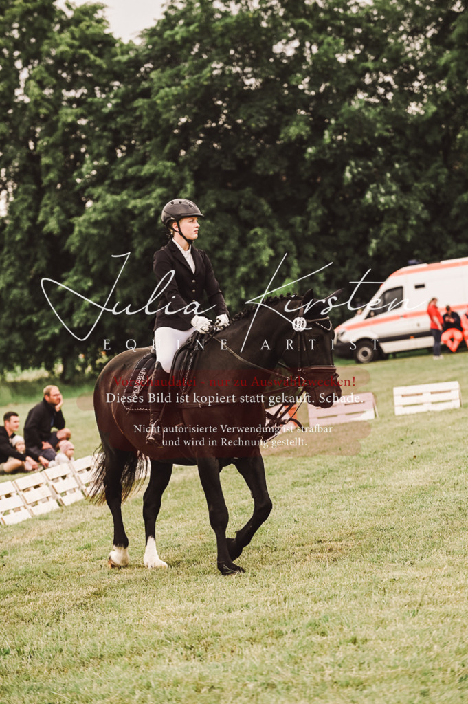DSC_5088 | Pferde- und Turnierfotografie in Westsachsen. Pferdeportraits, Auftragszeichnungen und intuitive Kunst.