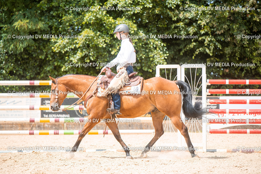 EWP_6603 | dv-media-shop - Realisiert mit Pictrs.com