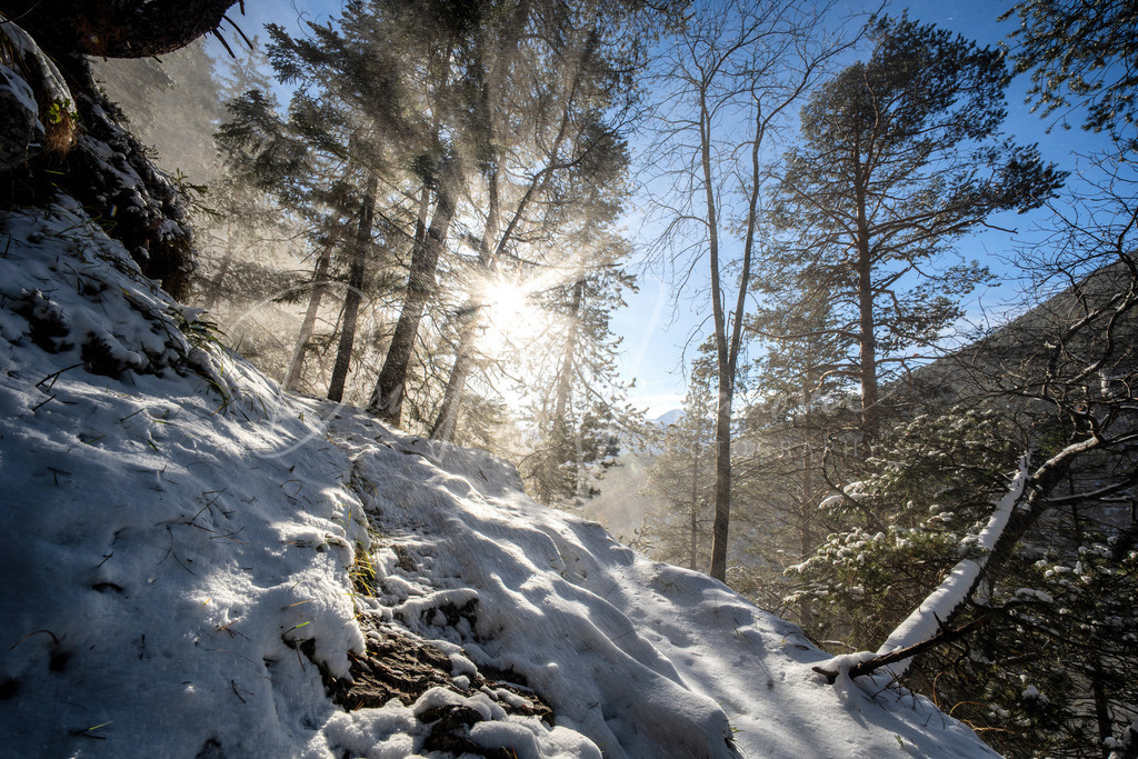 Schlossbachklamm | Schöne Lichtverhältnisse in der Schlossbachklamm