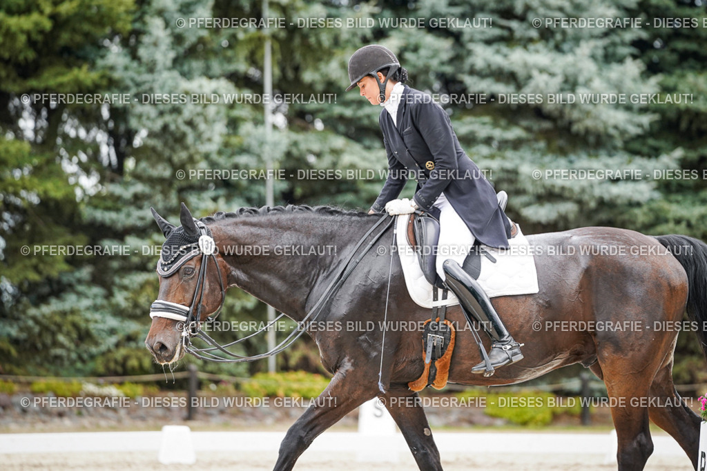 DSC06838 | Pferdegrafie