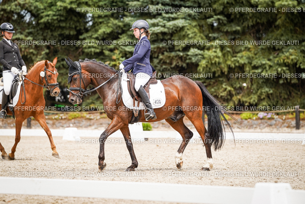 DSC04307 | Pferdegrafie