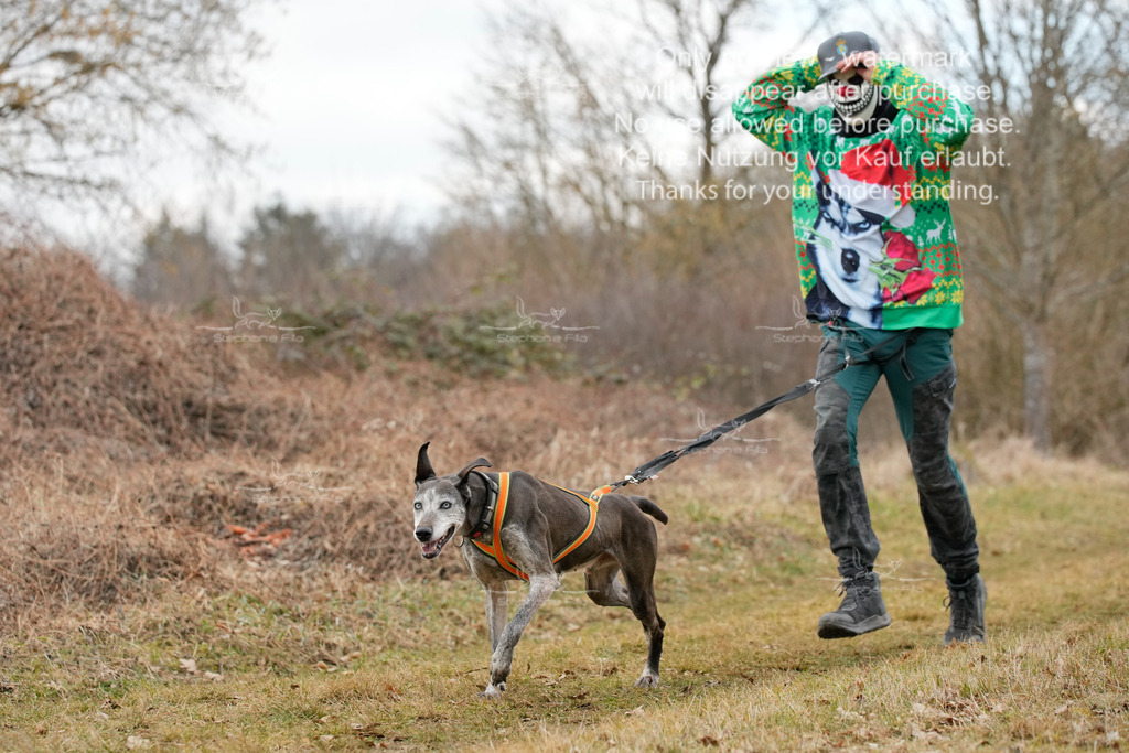 Fasching-40 | stephaniefillaphotographie - Realisiert mit Pictrs.com