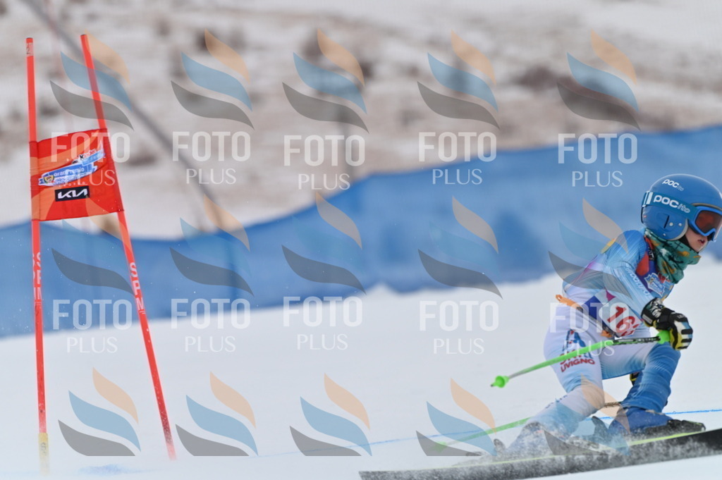 BGV_0268 | holidayphoto