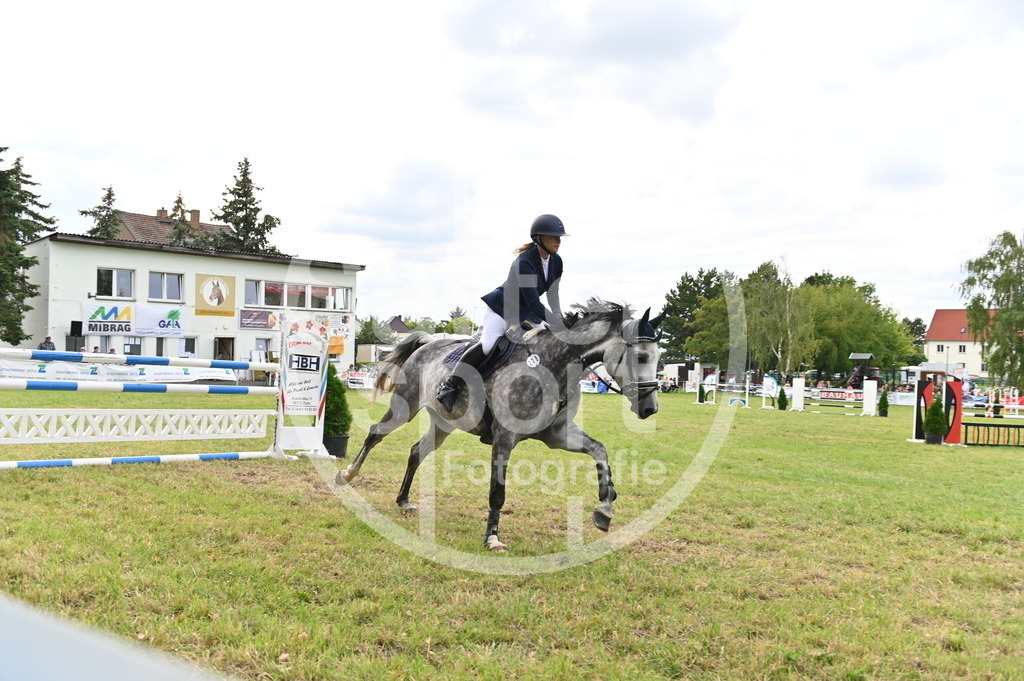 DSC_3848 | sattelsport - Realisiert mit Pictrs.com