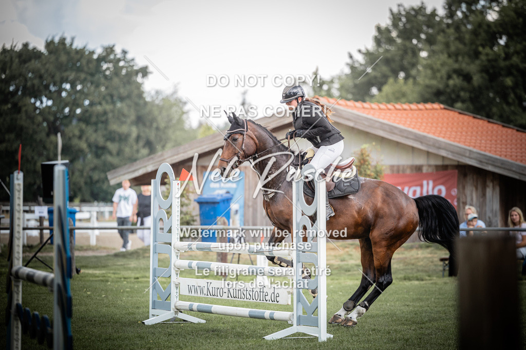 nelerasche_SprA__100Ede_22 | nelerasche