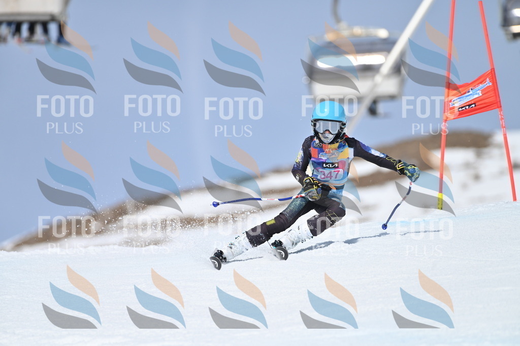 BGV_3575 | holidayphoto