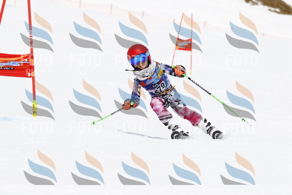 _U3G7000 | holidayphoto